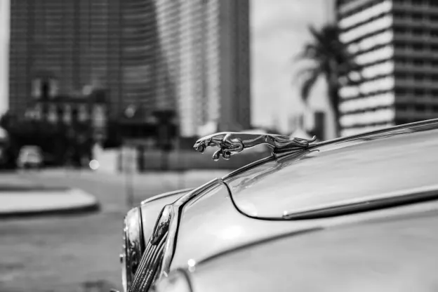 Kazoom Kasino Android/iOS App